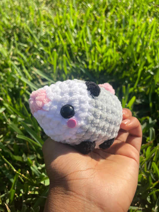 Opossum